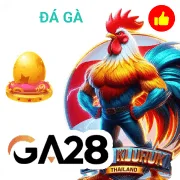 hit456 Game 08